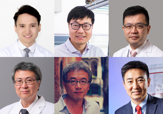 upper row from left:
Dr. Ho KO (CUHK), Dr. Cheng WANG (CityU), Professor Man Fung YUEN (HKU)
lower row from left:
Professor Jiandong HUANG (HKU), Professor Randy Yat Choi POON (HKUST), Professor Xunli WANG (CityU)